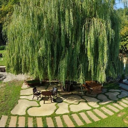 La Salcia Din Padure Appartement Alba Iulia Buitenkant foto