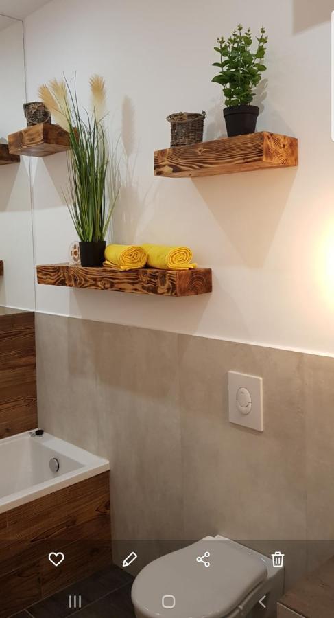La Salcia Din Padure Appartement Alba Iulia Buitenkant foto