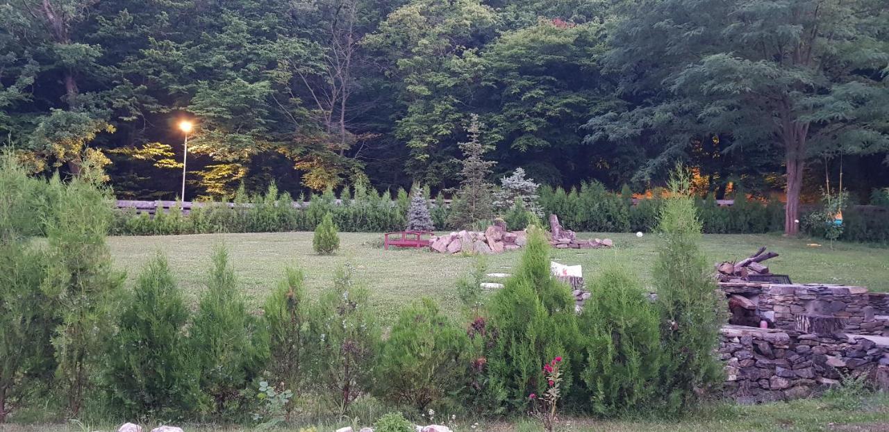 La Salcia Din Padure Appartement Alba Iulia Buitenkant foto